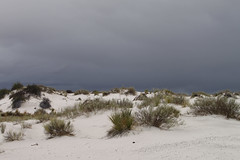 White Sands, NM - 2017-6715.jpg