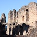 Hochburg ruins XIV