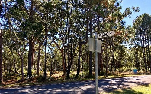 31 Wombo Street, Pindimar NSW