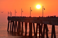 A Crowded Pier at Sunset｜Pacifica, California