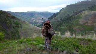 Idaho Big Game Hunting and Fishing 55