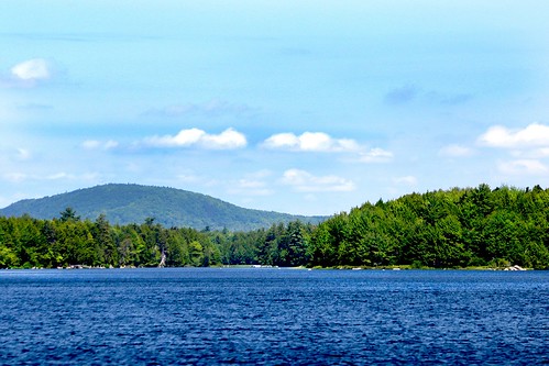 Junior Lake shoreline - www.wildfoxcabins.com