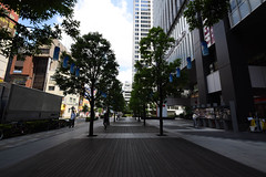 Streets of Akihabara