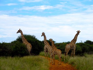 Namibia Luxury Hunting Safari 44