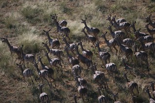 Namibia Luxury Hunting Safari 45