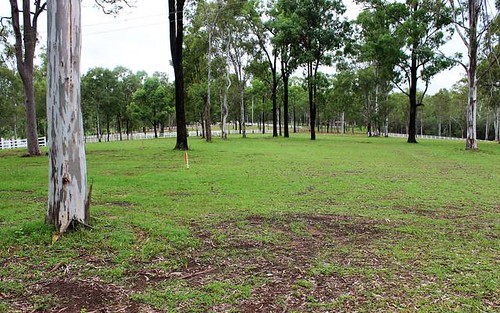 Lot 20, Buckley Road, Stockleigh QLD