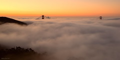 Golden Morning｜Golden Gate Bridge, San Francisco