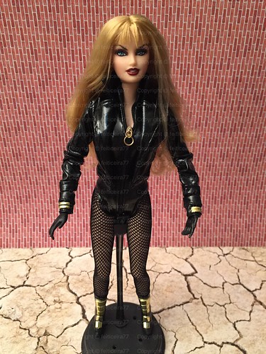 black canary barbie doll. 