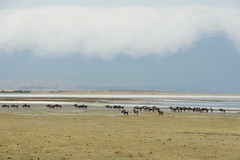 Ngorongoro, Tanzania, July 2017