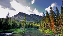 A Creek, Forest and Mountains to Take in Glacier National Park