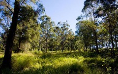Lot 79 Valleyview Drive, Mount Nathan QLD