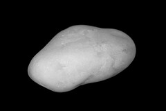 White Stone (222/365)