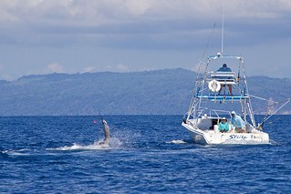 Costa Rica Sport Fishing Resort 44