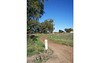 Farm 1633-904 Corner of Thorne Road, Griffith NSW