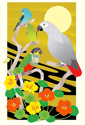 Garden nasturtium, barred parakeet, crimson-bellied parakeet and grey parrot