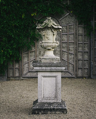 Statue surrounded by ivy in Kilmainham 4/365
