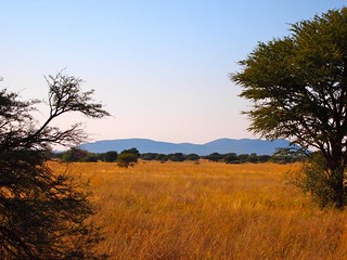 Namibia Luxury Hunting Safari 68
