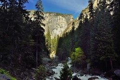 A Mountain Valley Lined with Trees for a River (Yosemite National Park)
