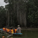 Navegando entre los manglares de Tumbes