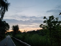 8-15-2017: Running into the sunset. Cambridge, MA