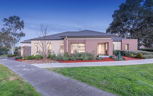 41 Anglers Dr, Epping VIC 3076