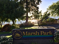 2017 YIP  Day 211: Marsh Park