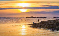 Sunset Watchers