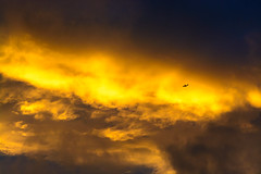 Flying through golden clouds (223/365, August 11th)