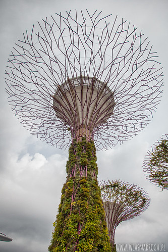 Ogrody Garden by the Bay