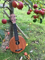 207 (Day 287 - 14th Oct): Pastoral scene with ukulele and tiny apple tree