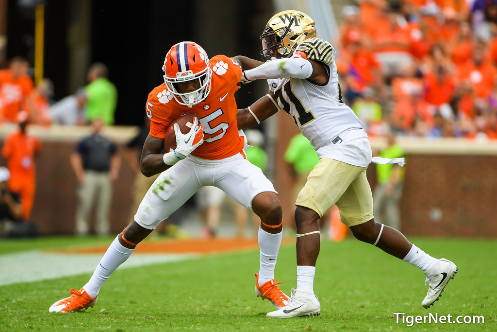 Clemson Football Photo of Tee Higgins and Wake Forest