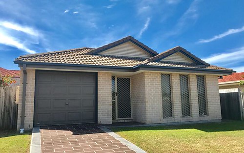 4 Blueberry Ash Ct, Boronia Heights QLD 4124