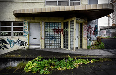 Reykjavik Graffitti