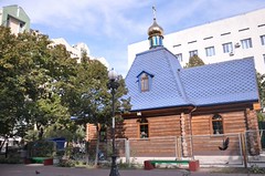 Помошница в родах 2017 (16)