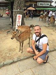 Nara, Japan, September 2017