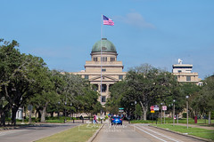 288/365 : Texas A&M University
