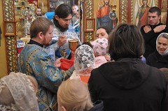 Помошница в родах 2017 (18)