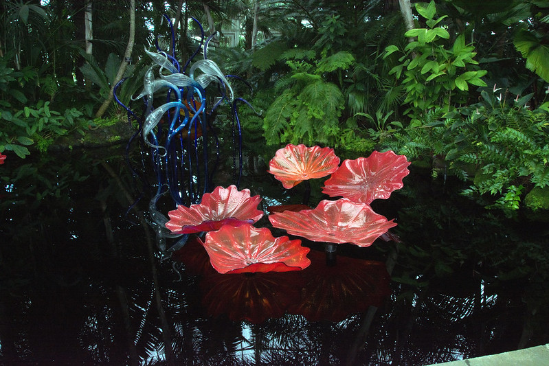 Chihuly 2017 - 022<br/>© <a href="https://flickr.com/people/74042242@N00" target="_blank" rel="nofollow">74042242@N00</a> (<a href="https://flickr.com/photo.gne?id=36927326394" target="_blank" rel="nofollow">Flickr</a>)