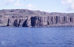Ulva Island, columnar cliffs, 1987