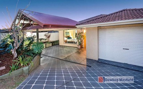 3 Shelley Close, Mayfield NSW