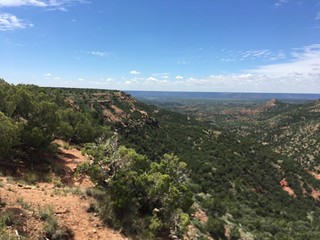 Texas Free Range Hunt – Palo Dura Canyon 22