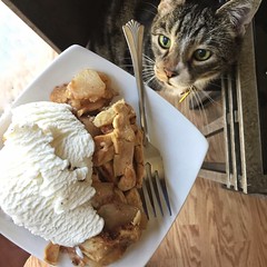 2017-9-29 Zoe wants some apple pie