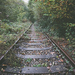 When nature takes over - Machen Train Tracks