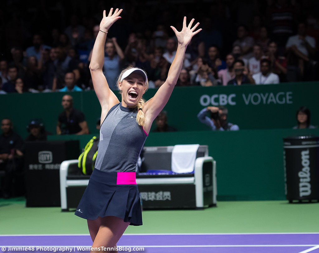 Singapore PHOTOS: Singles & doubles finals, Hingis' retirement farewell, Halep's No.1 ...1024 x 811