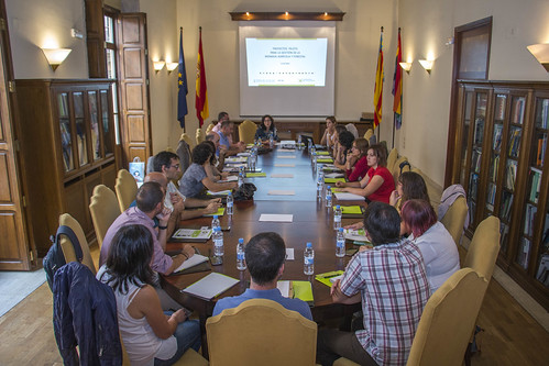 Reunión sobre proyectos de biomasa de origen agroforestal. Valencia (6-10-2016)