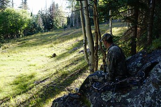 New Mexico Elk Hunt 41