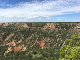 Texas Free Range Hunt – Palo Dura Canyon 2