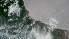 Coral Reefs Discovered where Amazon River Flows into the Atlantic Ocean