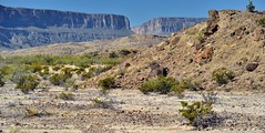 A Varied Landscape to the Sierra Ponce Cliffs and Santa Elena Canyon (Big Bend National Park)