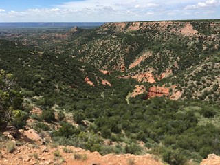 Texas Free Range Hunt – Palo Dura Canyon 1